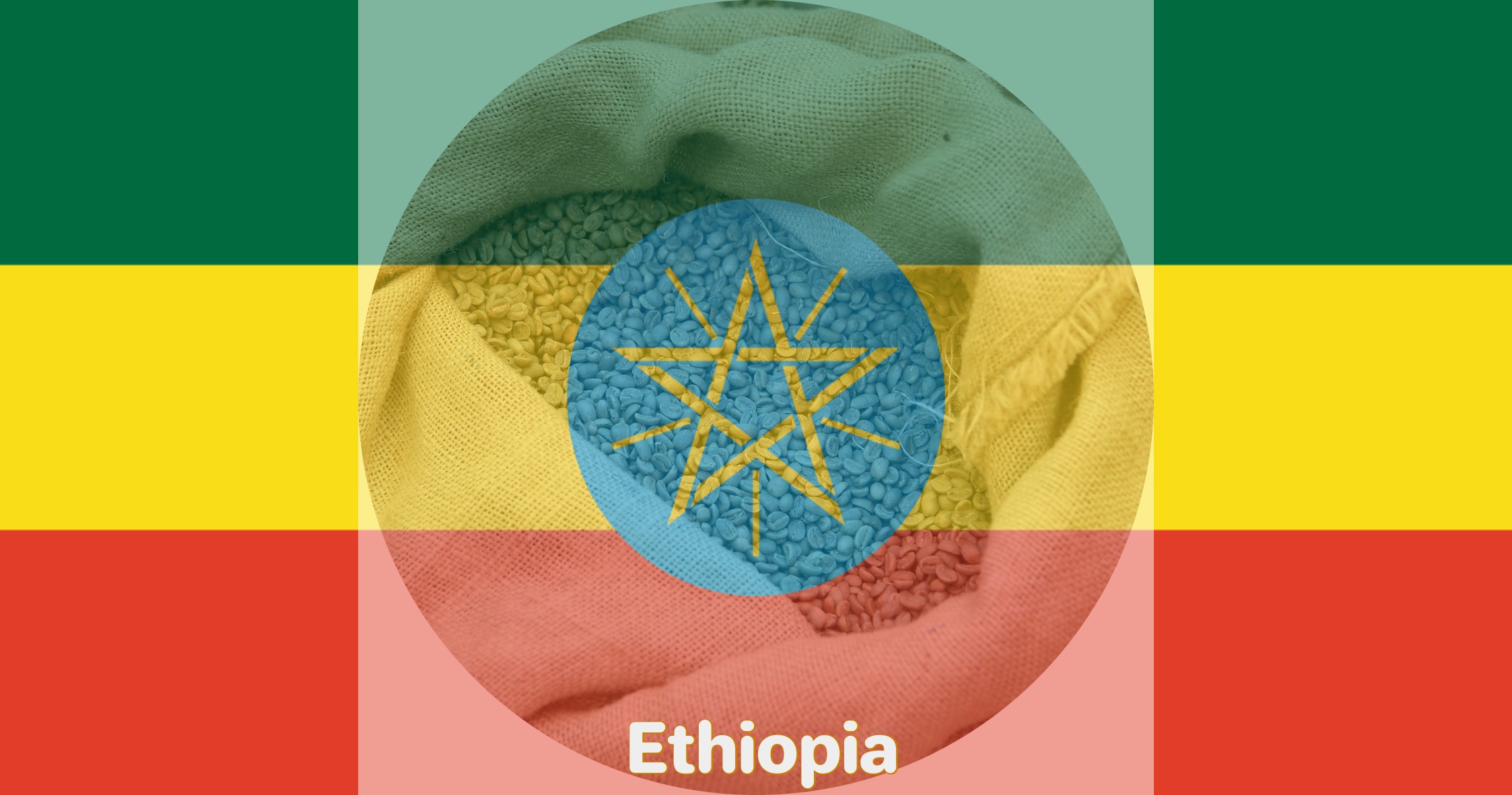 Ethiopia Guji G1 Organic Washed – Kayon Mountain