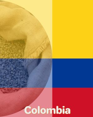 Colombia Huila Organic – El Bombo