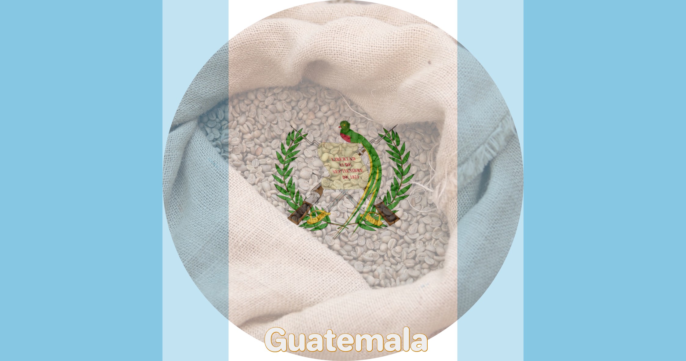 Guatemala Huehuetenango Green Coffee Beans